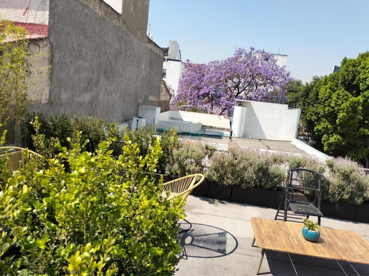 Casa Pani Otel Meksika Dış mekan fotoğraf